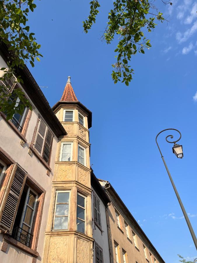Le Baumann Concept: Appartement De Charme Dans Un Monument Historique Colmar Luaran gambar