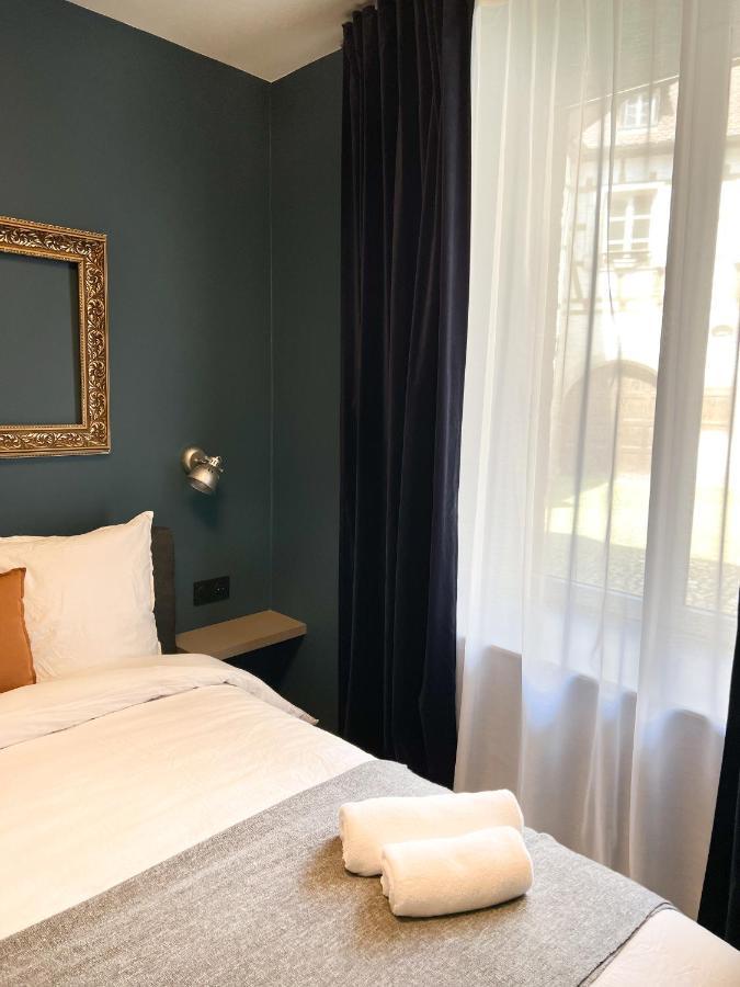 Le Baumann Concept: Appartement De Charme Dans Un Monument Historique Colmar Luaran gambar